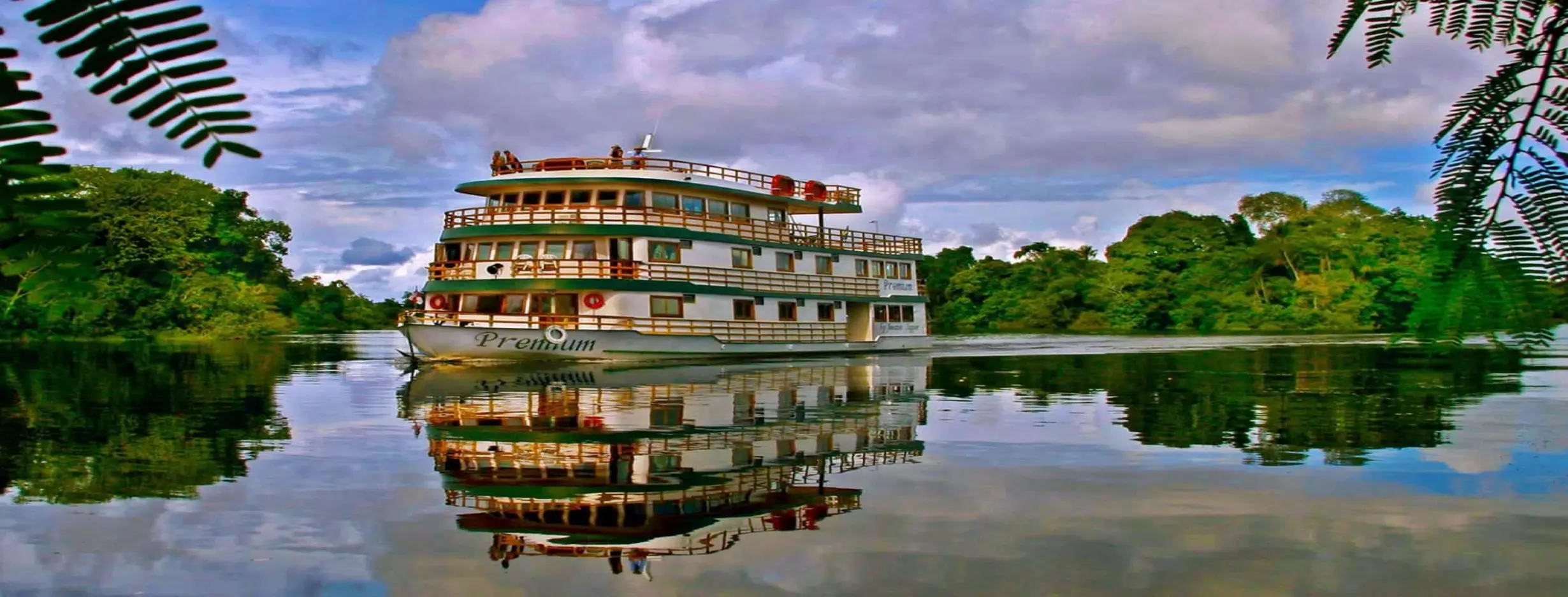 Image for Amazonian Odyssey